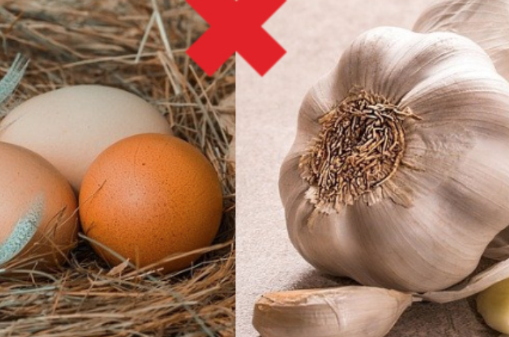 Các loại thực phẩm KHÔNG ĐỘI TRỜI CHUNG với trứng bạn cần biết - Ảnh 1